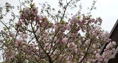 赤堂観音の自然