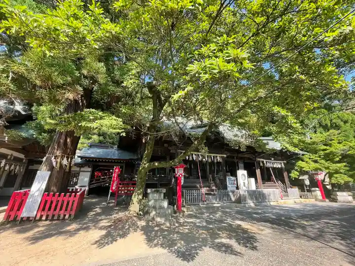 須佐神社・大祖大神社の本殿・本堂