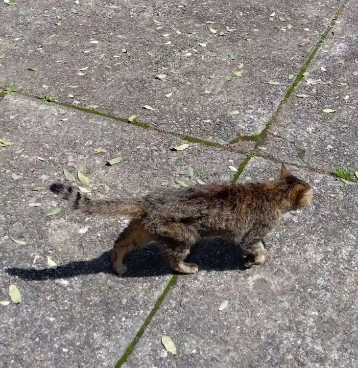 榛名神社(群馬県)