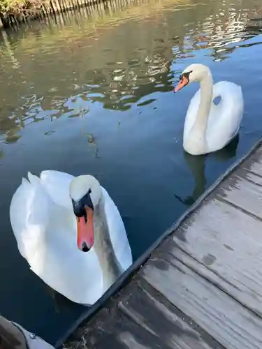 香取神宮(千葉県)