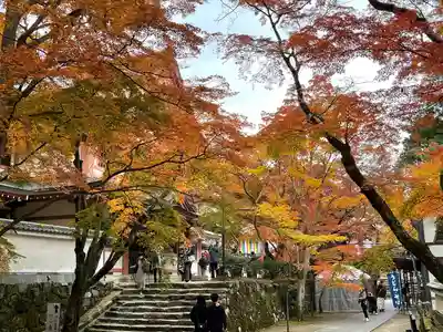 永源寺(滋賀県)