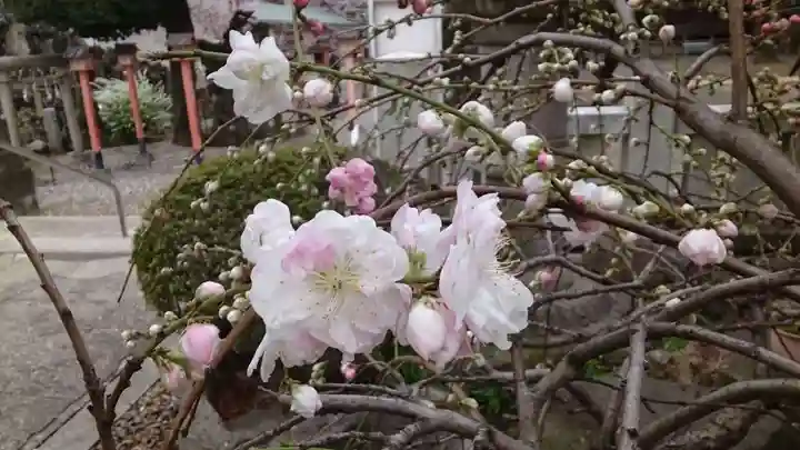 千住神社の自然