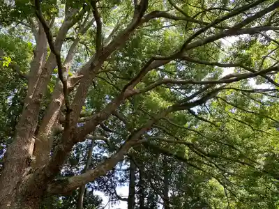弘道館鹿島神社(茨城県)