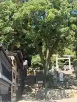 多度大社の{uncategorized: "未分類", other: "その他", undefined: "問題あり", building: "その他建物", grave: "お墓", sacred_gate: "鳥居", guardian: "狛犬", statue: "像", buddha: "仏像", history: "歴史", nature: "自然", garden: "庭園", animal: "動物", pagoda: "塔", temizu: "手水舎", mountain_gate: "山門・神門", sanctuary: "本殿・本堂", subordinate: "末社・摂社", art: "芸術", scenery: "景色", jizo: "地蔵", ema: "絵馬", goshuin: "御朱印", omikuji: "おみくじ", items: "授与品その他", amulet: "お守り", goshuincho: "御朱印帳", eats: "食事", festival: "お祭り", votive_dance: "神楽", shichigosan: "七五三参", wedding: "結婚式", experience: "体験その他", initially: "初詣", around: "周辺", anti_infection: "感染症対策"}