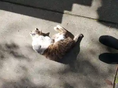 荻窪白山神社(東京都)