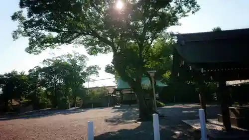 尾張大國霊神社（国府宮）の自然