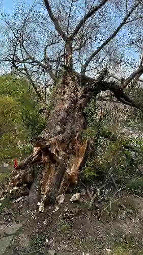 萬松山大雄寺(宮城県)