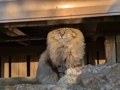 唐澤山神社(栃木県)