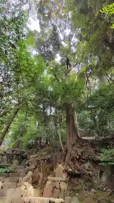 宇治上神社(京都府)