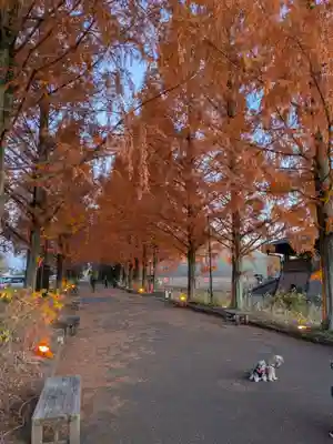 野木神社の動物