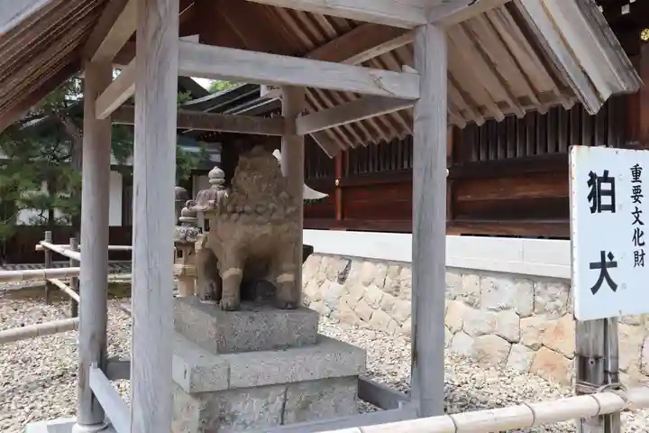 丹後一ノ宮 元伊勢 籠神社の狛犬