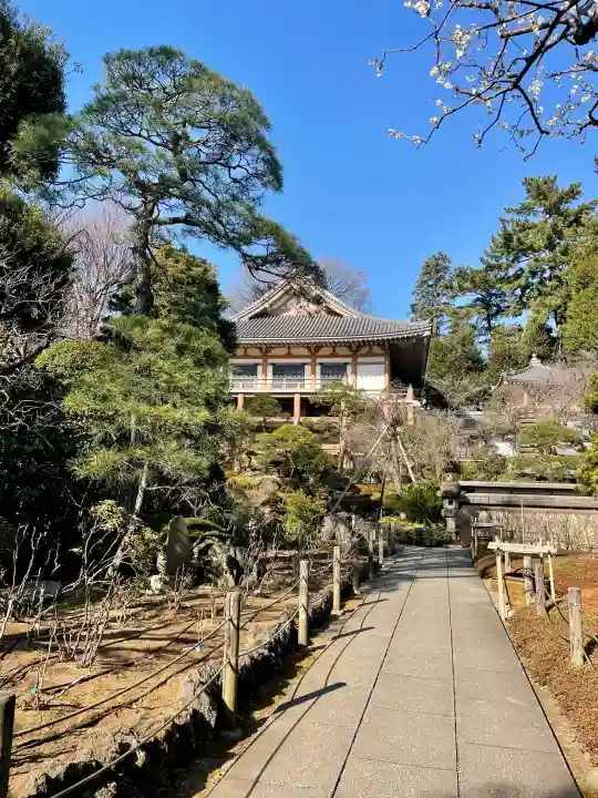 東長谷寺 薬王院の{uncategorized: "未分類", other: "その他", undefined: "問題あり", building: "その他建物", grave: "お墓", sacred_gate: "鳥居", guardian: "狛犬", statue: "像", buddha: "仏像", history: "歴史", nature: "自然", garden: "庭園", animal: "動物", pagoda: "塔", temizu: "手水舎", mountain_gate: "山門・神門", sanctuary: "本殿・本堂", subordinate: "末社・摂社", art: "芸術", scenery: "景色", jizo: "地蔵", ema: "絵馬", goshuin: "御朱印", omikuji: "おみくじ", items: "授与品その他", amulet: "お守り", goshuincho: "御朱印帳", eats: "食事", festival: "お祭り", votive_dance: "神楽", shichigosan: "七五三参", wedding: "結婚式", experience: "体験その他", initially: "初詣", around: "周辺", anti_infection: "感染症対策"}