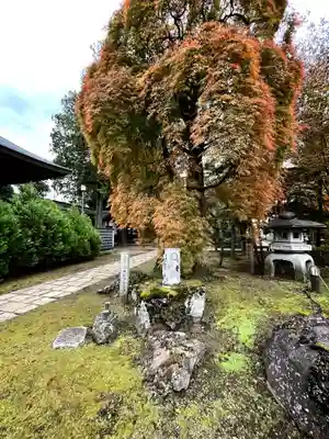 小川寺(東京都)