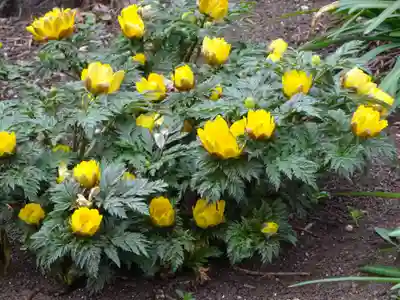 阿邪訶根神社(福島県)