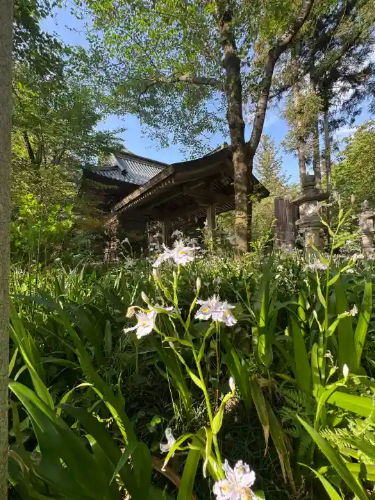 雄琴神社の{uncategorized: "未分類", other: "その他", undefined: "問題あり", building: "その他建物", grave: "お墓", sacred_gate: "鳥居", guardian: "狛犬", statue: "像", buddha: "仏像", history: "歴史", nature: "自然", garden: "庭園", animal: "動物", pagoda: "塔", temizu: "手水舎", mountain_gate: "山門・神門", sanctuary: "本殿・本堂", subordinate: "末社・摂社", art: "芸術", scenery: "景色", jizo: "地蔵", ema: "絵馬", goshuin: "御朱印", omikuji: "おみくじ", items: "授与品その他", amulet: "お守り", goshuincho: "御朱印帳", eats: "食事", festival: "お祭り", votive_dance: "神楽", shichigosan: "七五三参", wedding: "結婚式", experience: "体験その他", initially: "初詣", around: "周辺", anti_infection: "感染症対策"}