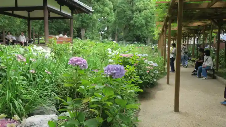 藤森神社(京都府)