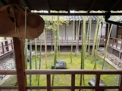 妙顯寺（妙顕寺）(京都府)