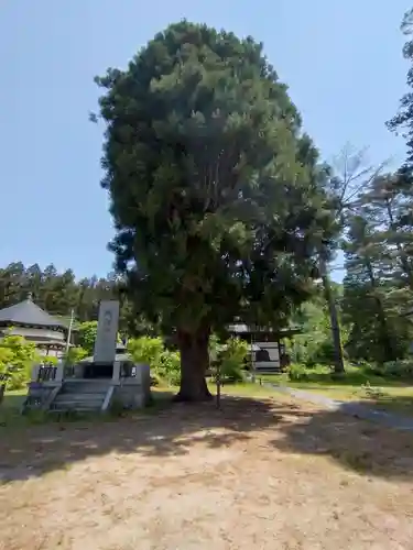 霊厳山　圓蔵寺(福島県)
