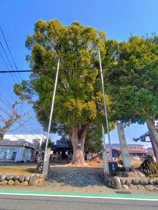 須賀神社(羽黒新田)の自然