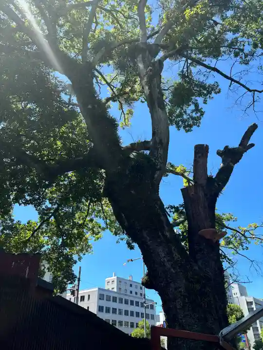 八股榎お袖大明神(愛媛県)