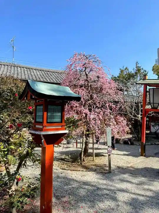 源九郎稲荷神社のその他建物
