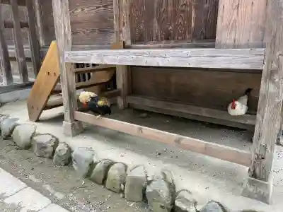 大崎八幡宮(宮城県)