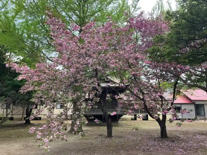 岩内神社(北海道)