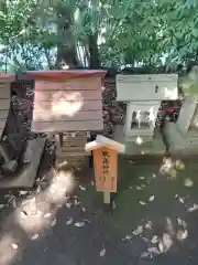 川越氷川神社(埼玉県)