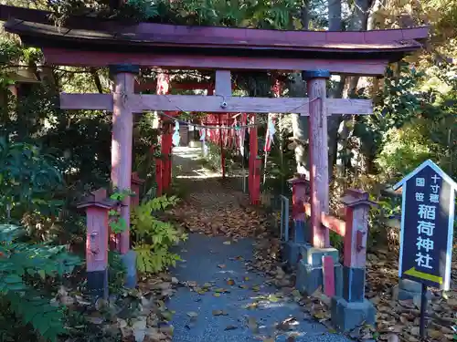 飯玉神社(群馬県)
