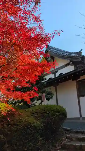 常照寺(京都府)