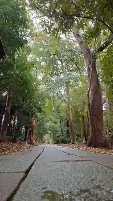 夜疑神社(大阪府)