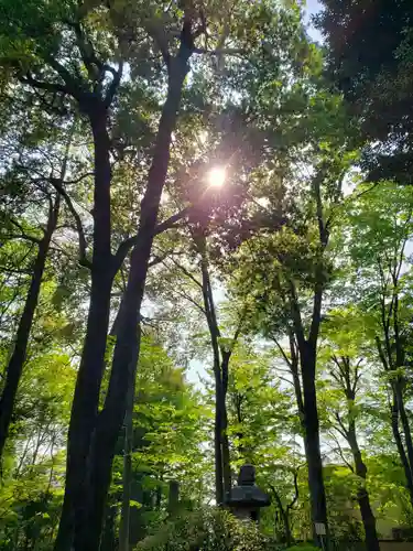 妙法寺の庭園