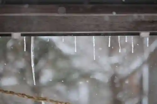 小平潟天満宮の自然