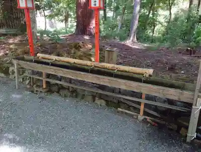 日吉大社(滋賀県)