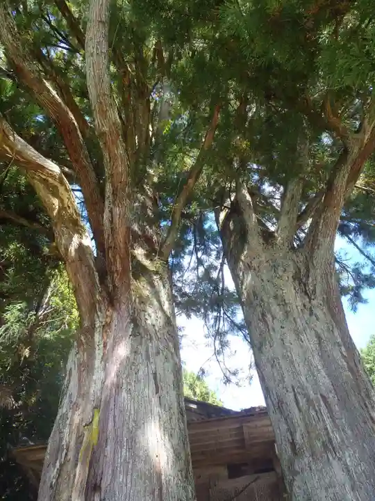 八幡神社(愛知県)