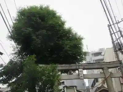 祇園白山神社(埼玉県)