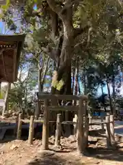 小宅神社の建物その他