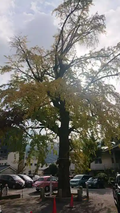 岡田神社の自然