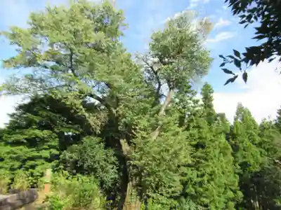 光厳寺(東京都)