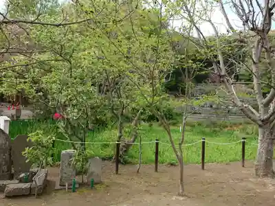 龍寳寺（龍宝寺）(神奈川県)