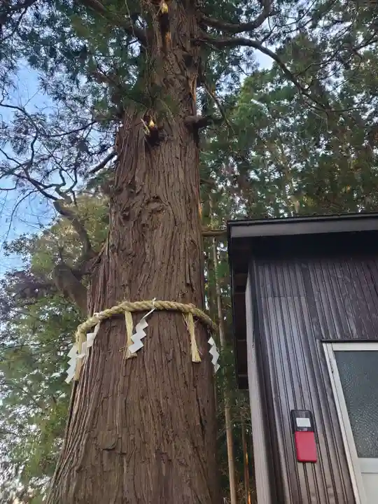 穴蔵神社(宮城県)