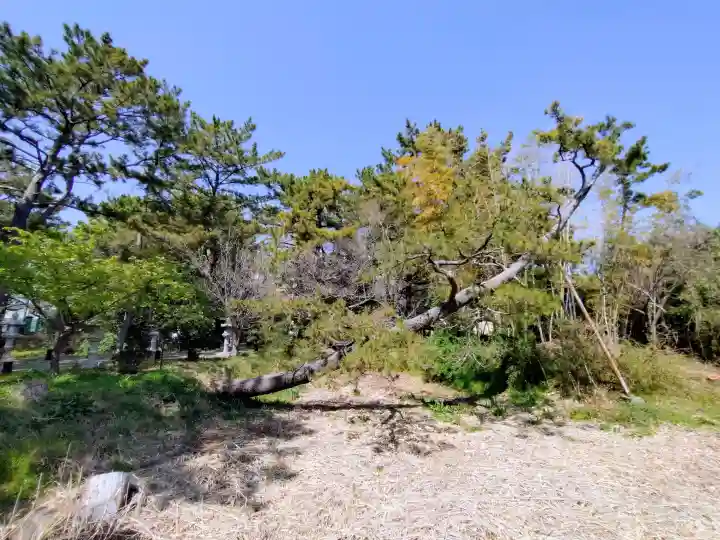 鶴嶺八幡宮(神奈川県)
