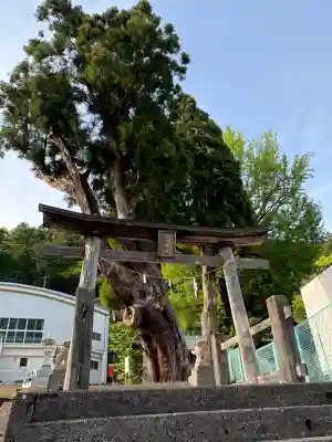 谷口神社の鳥居