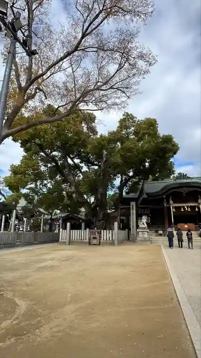 石切劔箭神社(大阪府)