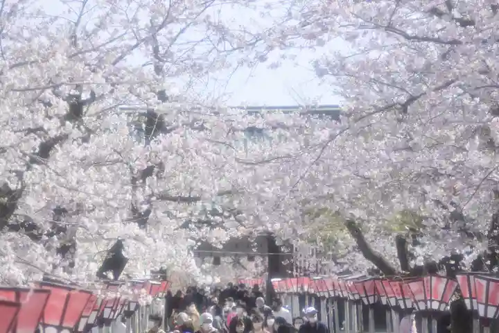 三嶋大社の自然