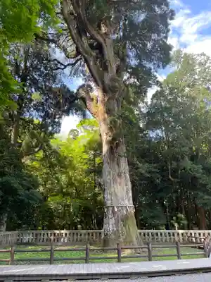 霧島神宮(鹿児島県)