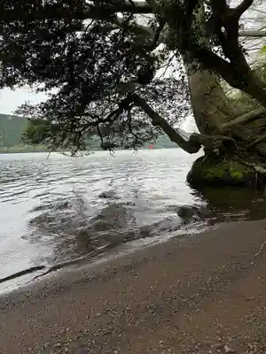 九頭龍神社本宮(神奈川県)