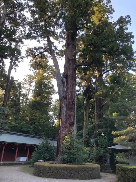 香取神宮の自然