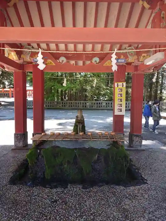 霧島神宮の手水舎