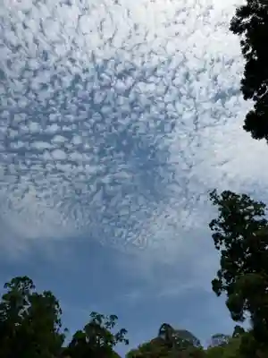 大神神社(奈良県)